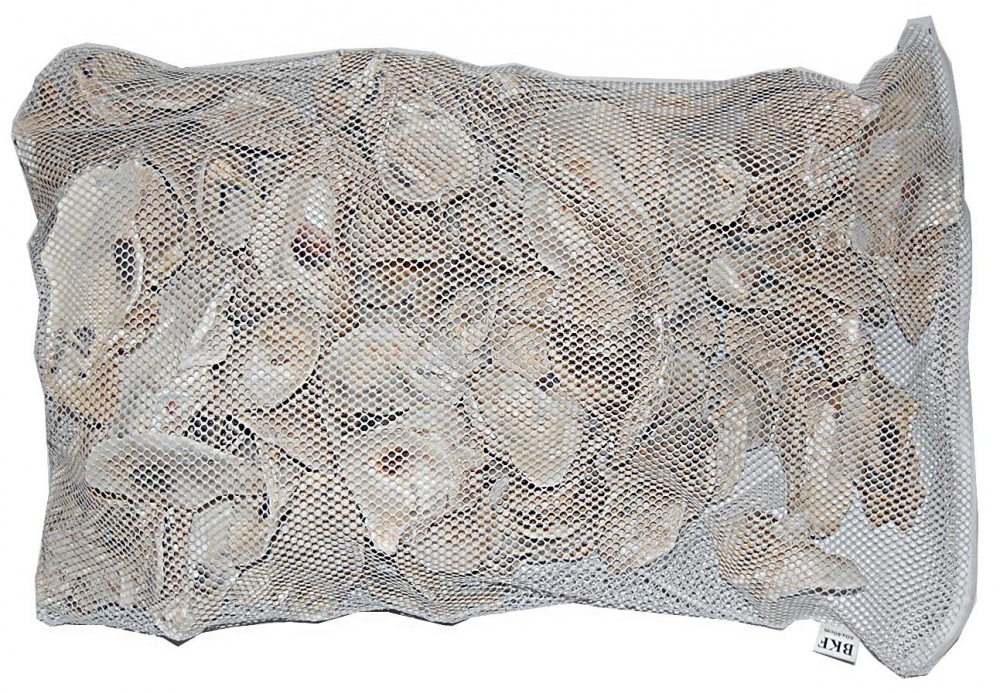 Bild 1 von AE Japanische Austernschalen 5 kg