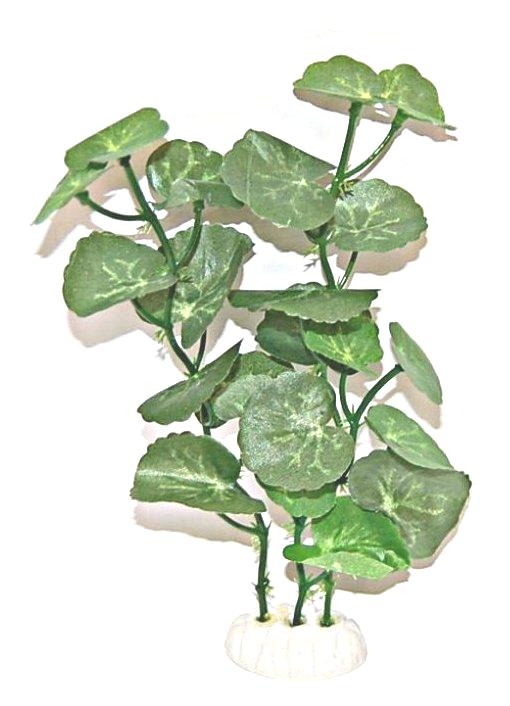 Bild 1 von Resun Seidenpflanze 20cm 8