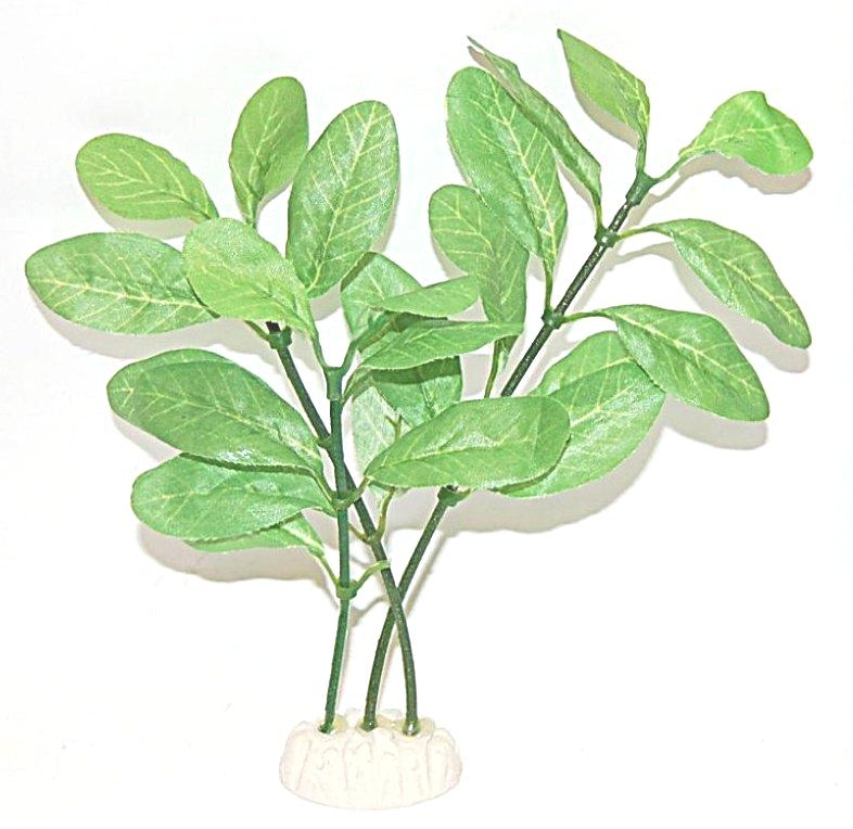 Bild 1 von Resun Seidenpflanze 20cm 8