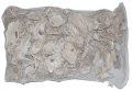 Bild 2 von AE Japanische Austernschalen 2 kg